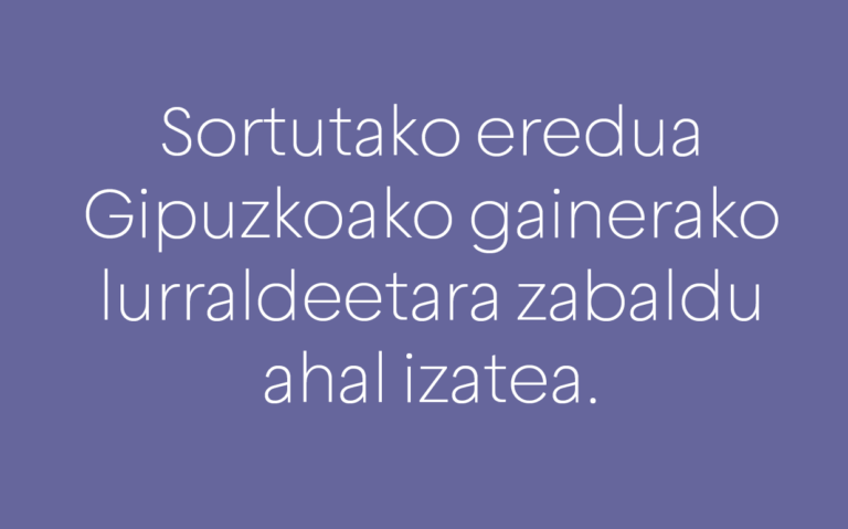 PROIEKTUAREN GAKOAK 4